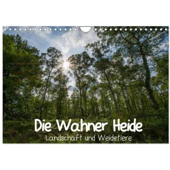 Die Wahner Heide