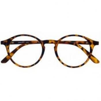 Lunettes Havana Uffizi 1 dioptre