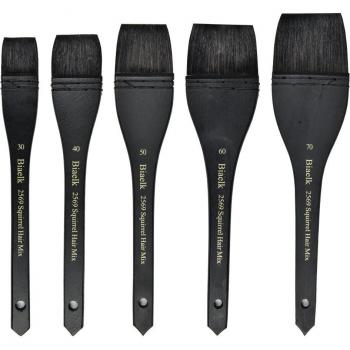 Pinceau d'art aquarelle en bois d'écureuil 1 pièce