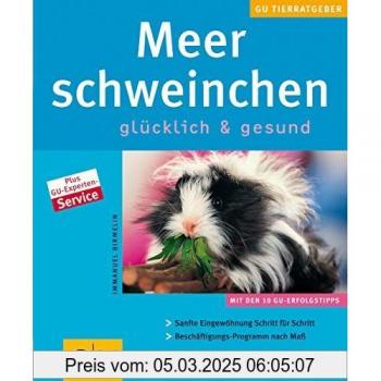 Immanuel Birmelin Meerschweinchen Glücklich & Gesund