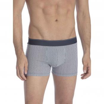 Elastikbund Herrenboxer Calida Graphic Cotton New Edition