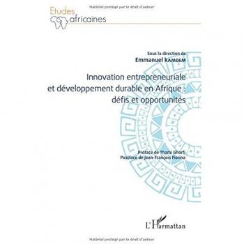 Innovation entrepreneuriale et développement durable en Afrique : défis et opportunités