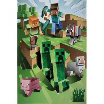 Coperta in pile Minecraft Farma 100x150