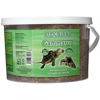 Alimento para Tortugas