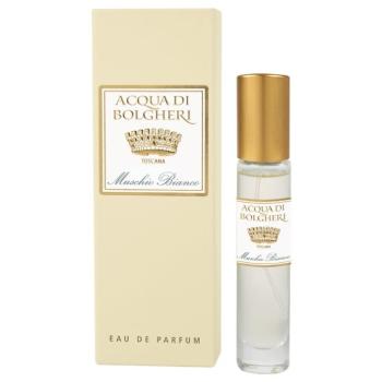 Acqua Bolgher Prof. Bors Musch