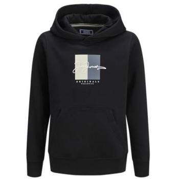 Jack & Jones Junior Kapuzensweatshirt „Jorfred Erik Berg Box Sci“ – 164 – Schwarz – Rippbündchen