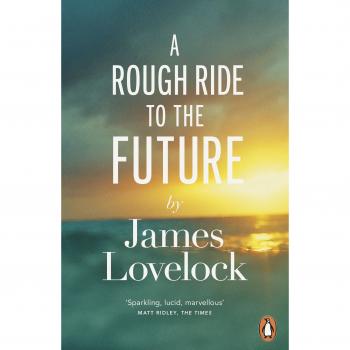 A rough ride to the future