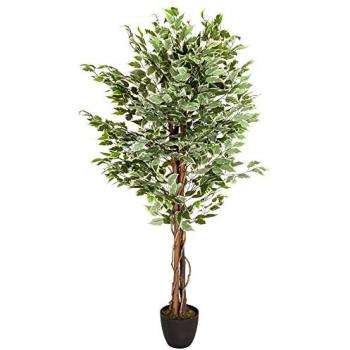 Piante Ficus Artificiale – Verde Office