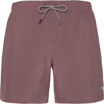Davey Swimsuit Shorts: Protest Series