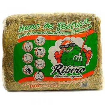 Heno de Festuca 10 Kg para Conejos y Roedores