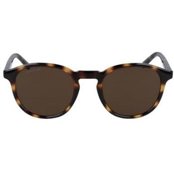 Lacoste L916S 214 Havana Men’s Sunglasses – Medium Brown, Size 50