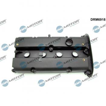 DM6918 Cylinder Head Enclosure