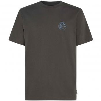 Camiseta O'Neill Sun Gris para Hombre