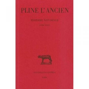 Histoire naturelle. Livre XXXVI