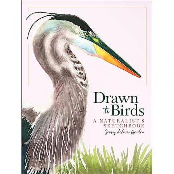 Drawn to Birds : A Naturalist's Sketchbook