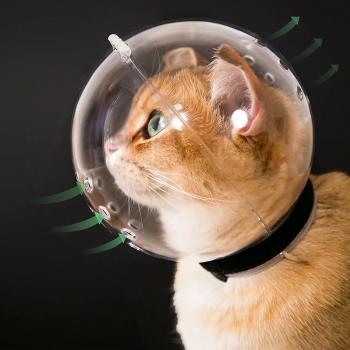 Casque d’astronaute pour chaton