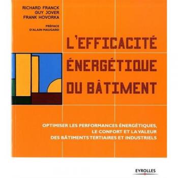 L'efficacité énergétique du bâtiment : Optimiser les performances énergétiques, le confort et la valeur des bâtiments tertiaires et industriels