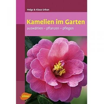Kamelien im Garten: Auswählen
