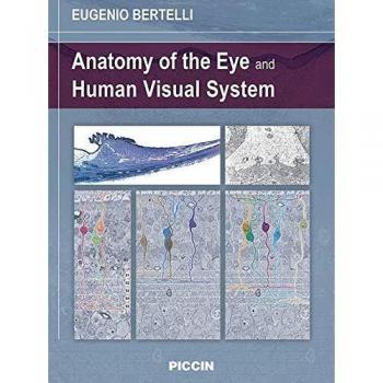 Anatomy of the eye and human visual system Eugenio Bertelli