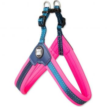 Ajuste Rosa Max & Molly XS 36‑39 cm para perro pequeño