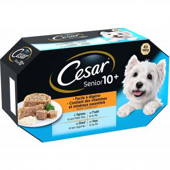 CESAR Repas pour Chien Senior