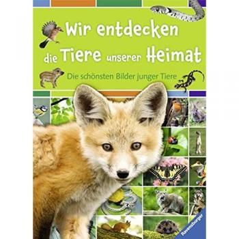 Wir entdecken die Tiere unserer Heimat: Die schönsten Bilder junger Tiere