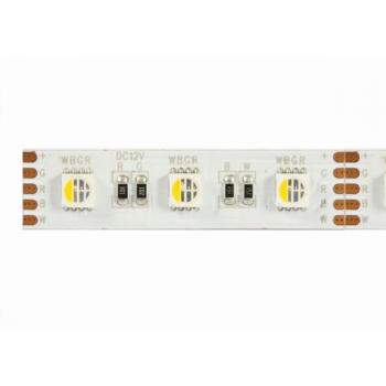 LED Flex RGB‑W Interno 21: 500 cm, 24 V DC