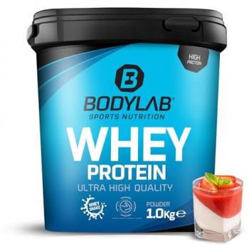Whey Protein Pannacotta Geschmack