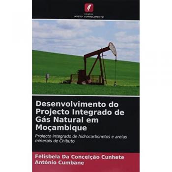 Da Conceição Cunhete, Felisbela: Desenvolvimento do Projecto Integrado de Gás Natural em Moçambique