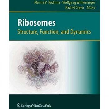 Ribosomes Structure Function and Dynamics