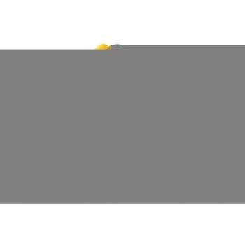 Pince coupante wolfcraft Megacut S avec lame de rechange