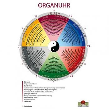 Organuhr Schaubild DIN A2: Schaubild für den Unterricht und die Praxis
