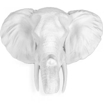 Testa di Elefante