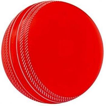 Gray Quantum Cricket Protector