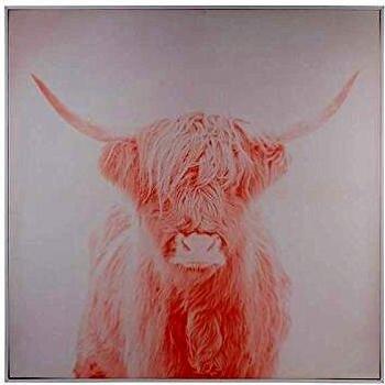 Ochsenmalerei Naturfarben