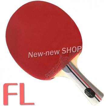 Pro Table Tennis Ping Pong Set Reactor DJ200 + 2 Corbor Shakehand Long Handle FL