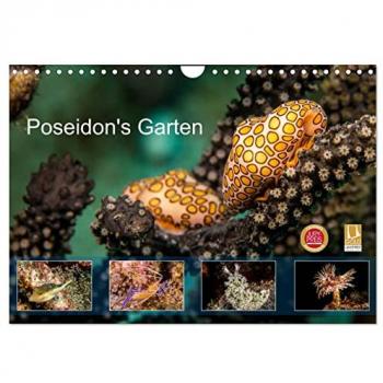 Poseidon's Garten (Wandkalender 2025 DIN A4 quer) CALVENDO Monatskalender