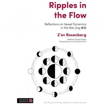 Ripples in the Flow: Reflections on Vessel Dynamics in the Nan Jing EPUB