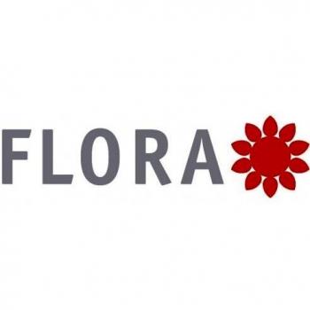 Lame de remplacement largeur de travail 16 cm, mesure de lame 16 cm acier inoxydable non fini FLORA