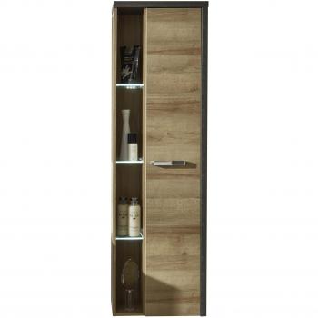 Trendteam Hochschrank BayBad – Hängeschrank Highboard Kommode Anrichte in Honig/Beton, 48 × 160 × 31 cm