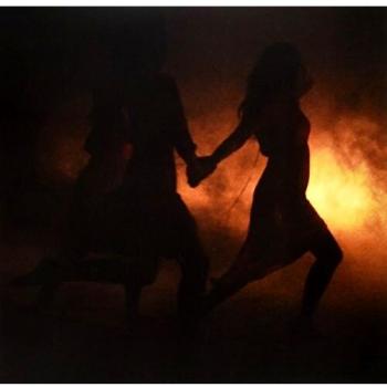 Orchid Days on Vinyl