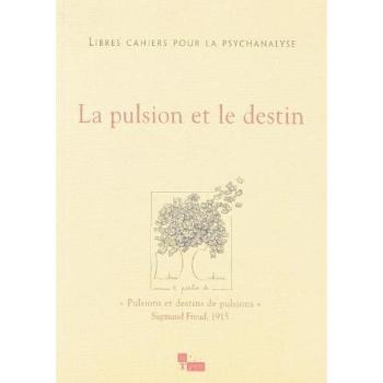Libres cahiers pour la psychanalyse N15