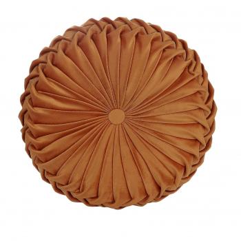 Coquillaje de Calabaza Terciopelo