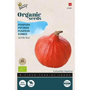 Kürbis Uchiki Kuri, Gemüsesamen, 1,75 g