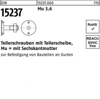 Stahl Tellerschraube M12 x 50mm mit Zubehör