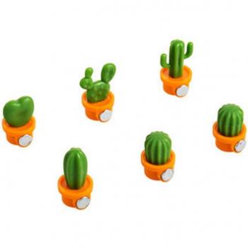 Succulent Plant Magnets