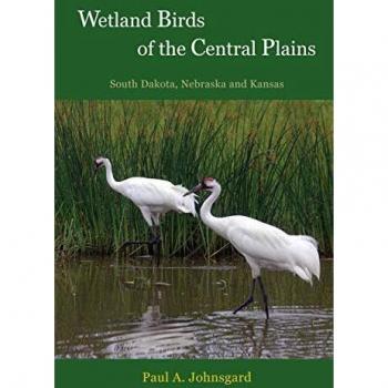 Wetland Birds of the Central Plains: South Dakota, Nebraska and Kansas