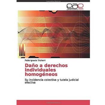 Daño a derechos individuales homogéneos: Su incidencia colectiva y tutela judicial efectiva