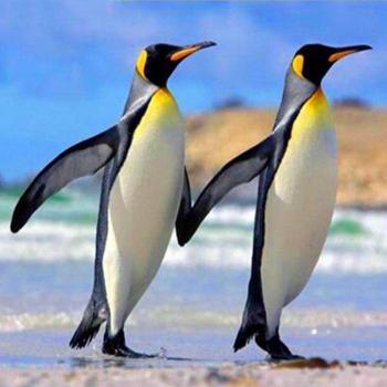 Pinguin-Familie runde Diamantmalerei