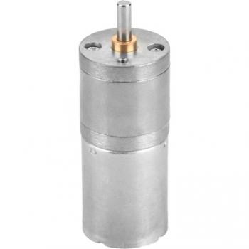 Mini 25GA-370 DC 12V Gear Motor (300RPM)